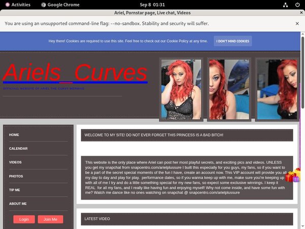 Ariel Website Accounts