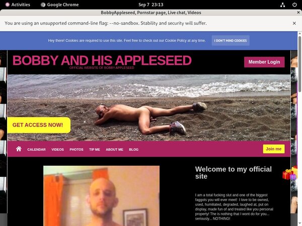 BobbyAppleseed Porn Movies