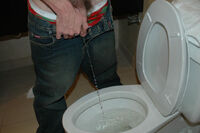 Boys-pissing.com Porn Review s4