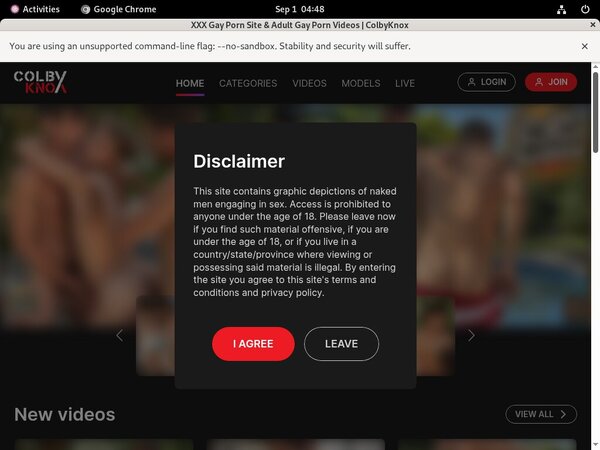 Colby Knox Passwords 2017