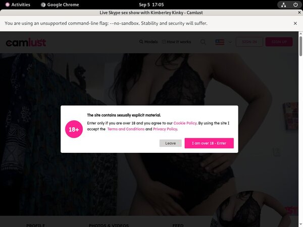 Cracked Camlust.com Account