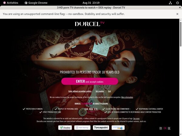 Dorceltv.com Passwort