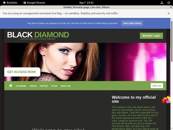 Dwilde Paypal Access