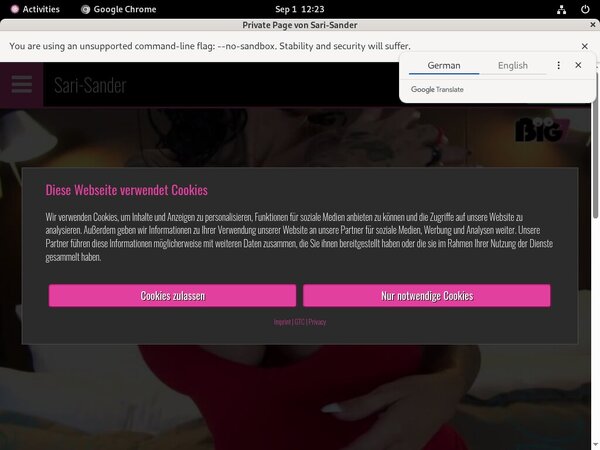Free Premium Sari Sander Free Premium Sari Sander