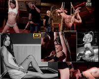 Free Subspaceland Account New s2 Free Subspaceland Account New s2