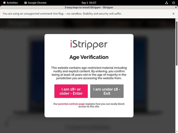 Gay Istripper.com Gay Istripper.com