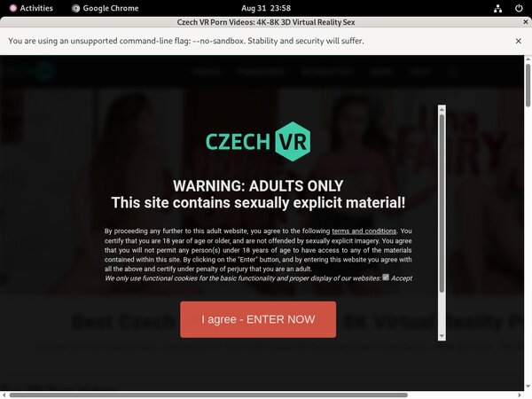 Inside Czechvr