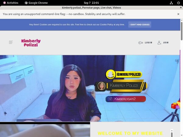 Kimberly Polizzi Password Blog