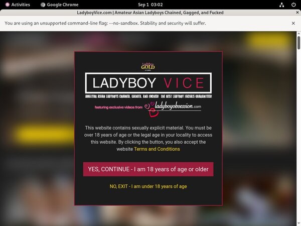 Ladyboyvice Free Trial Account