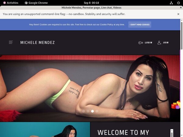Login To Michelemendez.modelcentro.com For Free