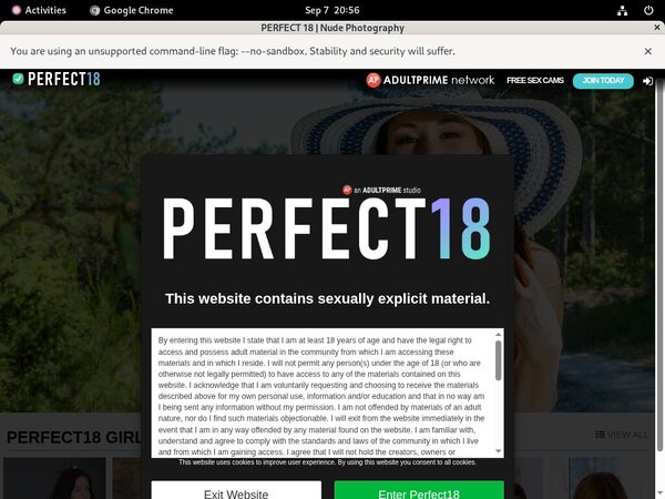 Perfect 18 Adult Passwords