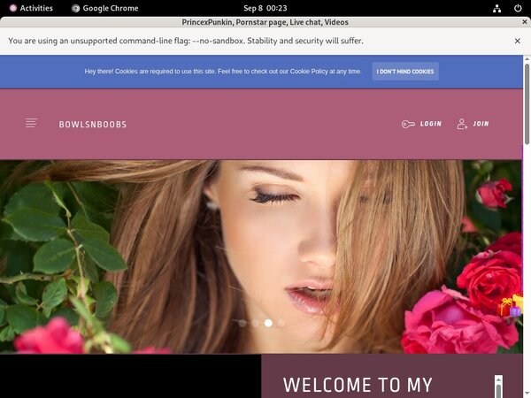PrincexPunkin Account Password