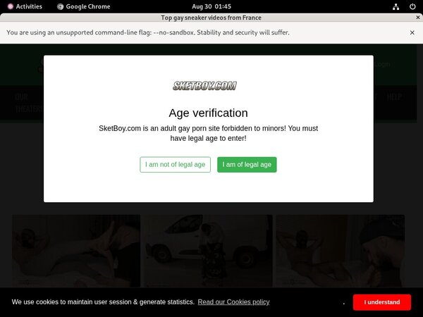 Sketboy.com Porn Accounts