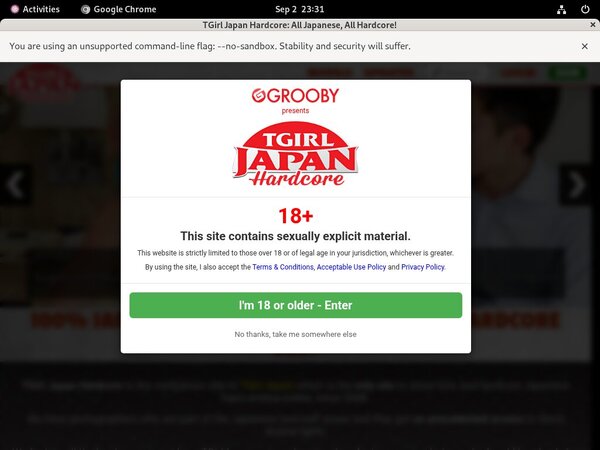 Tgirljapanhardcore Review