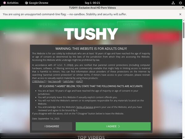 Tushy Anal Models