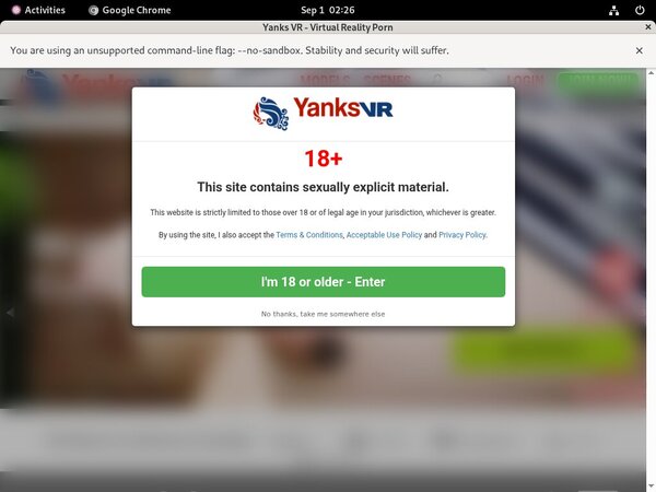 Yanks VR Discount Tour