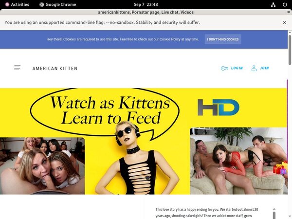 Americankittens Discount Monthly