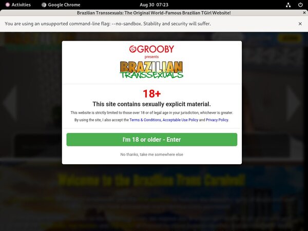 Brazilian-transsexuals.com Free Xxx