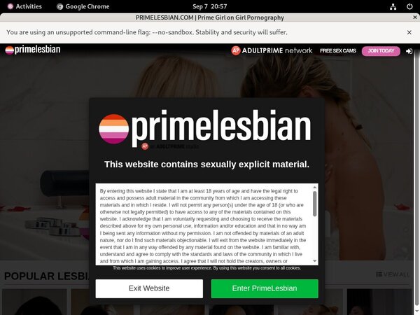 Contas Premium Primelesbian.com
