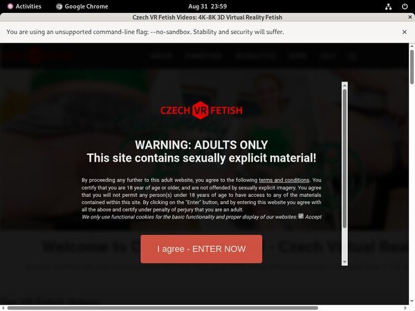 Czechvrfetish.com Working Password