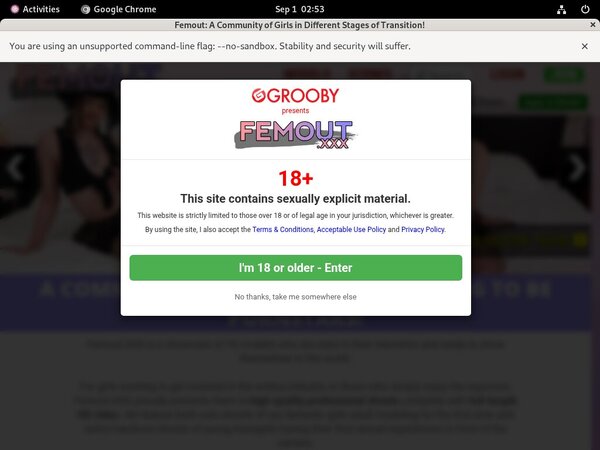 Free Femout Hacked Passwords