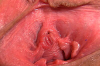 Gapemypussy.com Xxx Movies s1