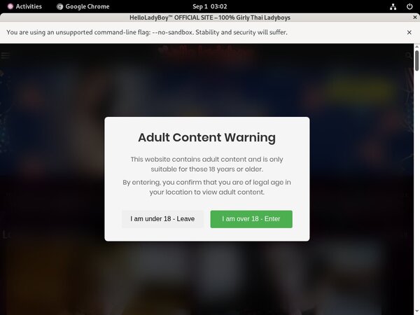 Hello Ladyboy Site Rip Link