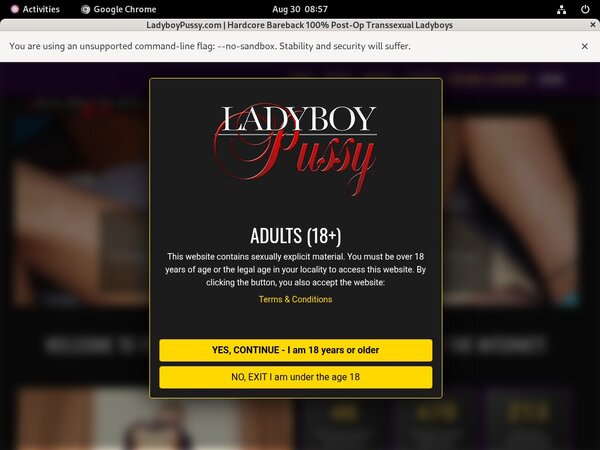 Ladyboypussy.com On Sale