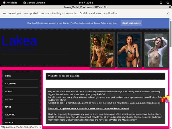 Lakea_Model Discount Plan