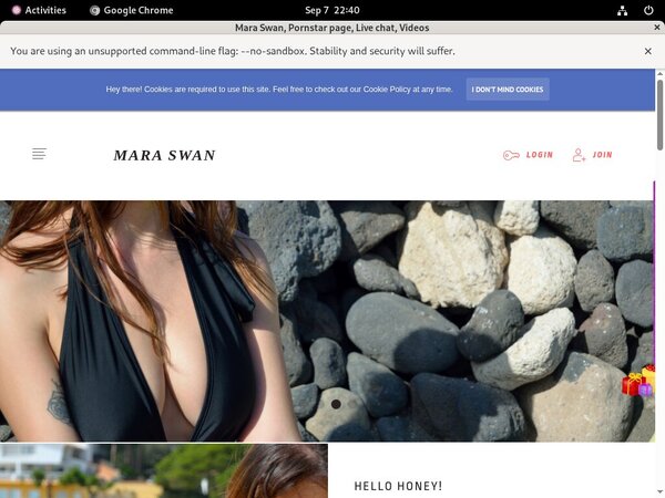 MaraSwan Login Information MaraSwan Login Information