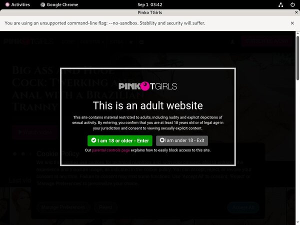Pinkotgirls.com Discount (SAVE 70%)
