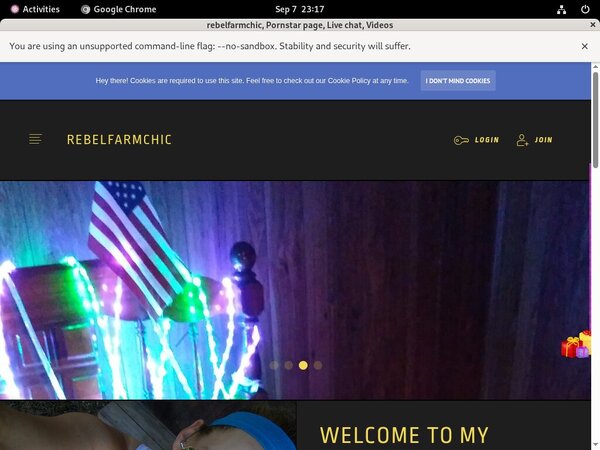 Rebelfarmchic.modelcentro.com Hack Account