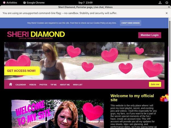 Sheri.modelcentro.com Daily Passwords