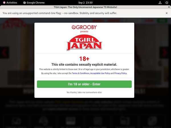 Tgirljapan With European Credit Card