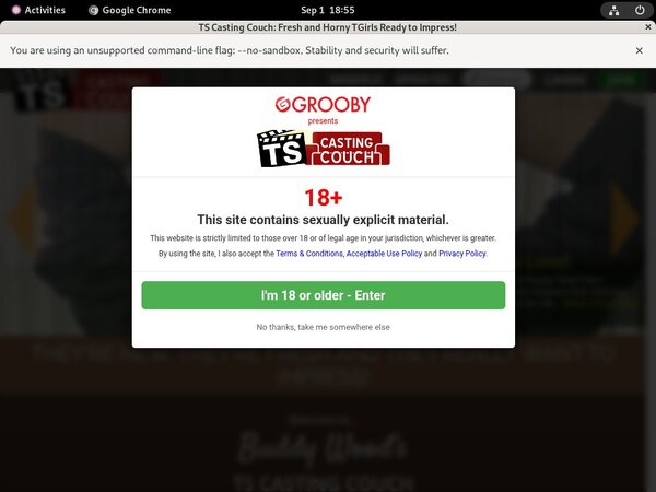 Ts-castingcouch.com Logins For Free