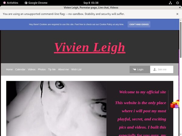 Vivien Leigh Discount Password