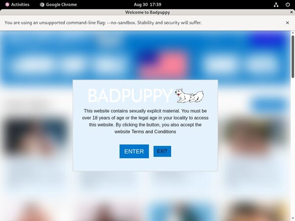 Badpuppy.com Password Blog