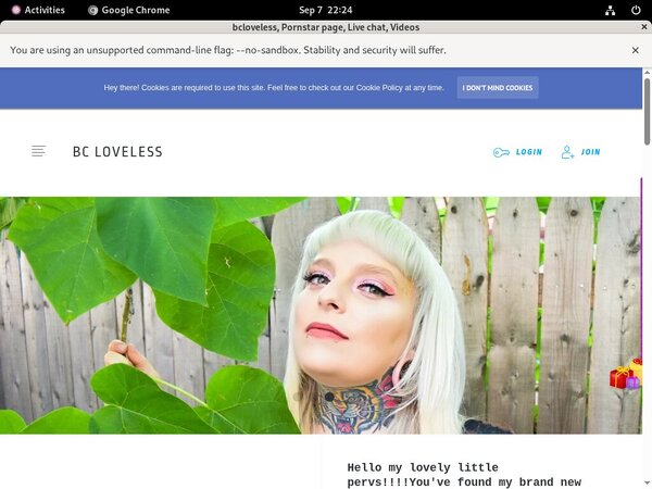 Bcloveless.com With Directpay