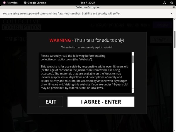 Collectivecorruption.com Pornhub