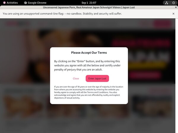 Japanlust.com Paypal Option