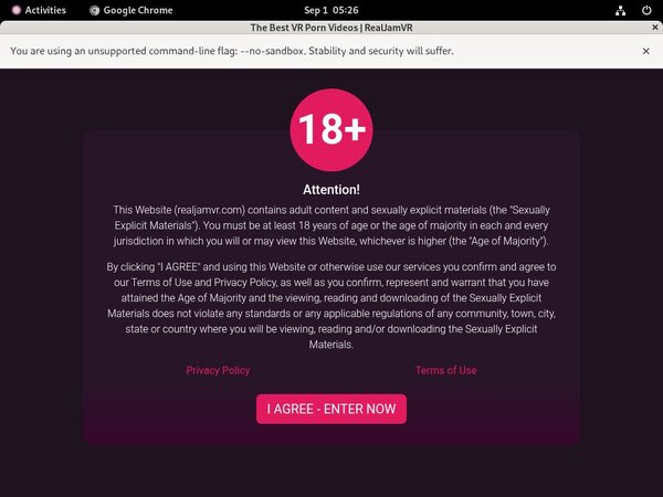 Realjamvr Porn Review