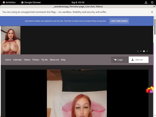 Snowbunnyy Accounts Password