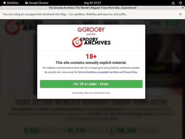 Thegroobyarchives Sex.com