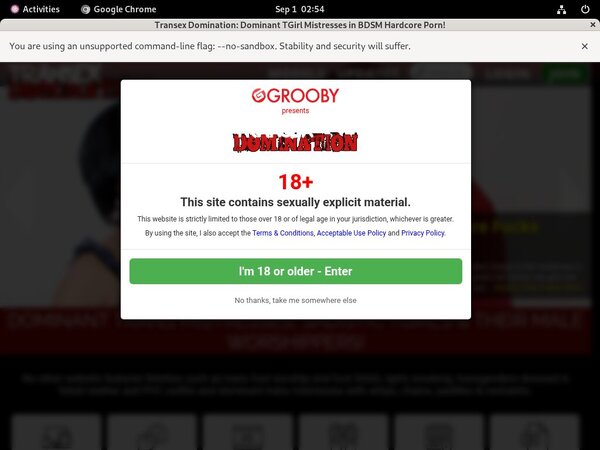 Transex Domination X