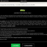 Twinkboysparty.com With JCB Card