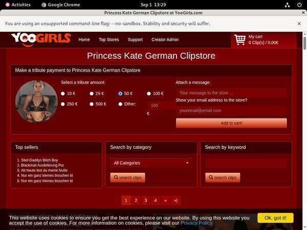 Princess Kate German New