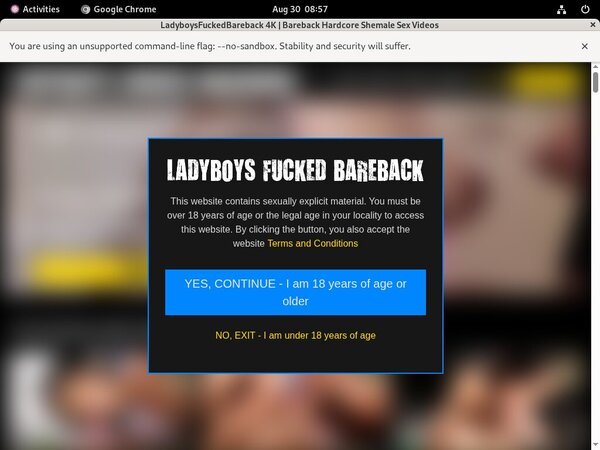 Bareback Fucked Ladyboys Premium Accounts