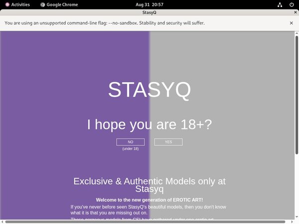 Get Free Stasyq.com Passwords